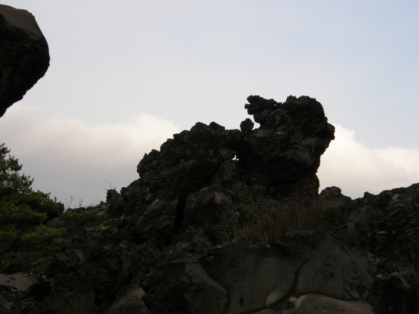 PB072851.jpg