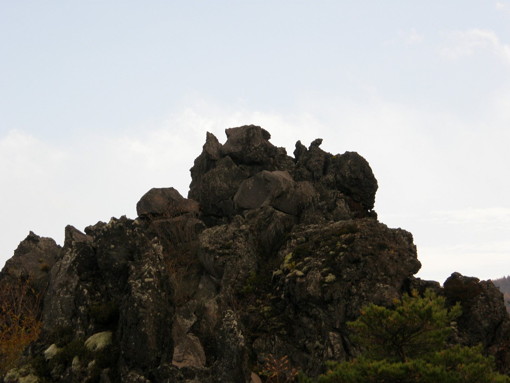 PB072852.jpg