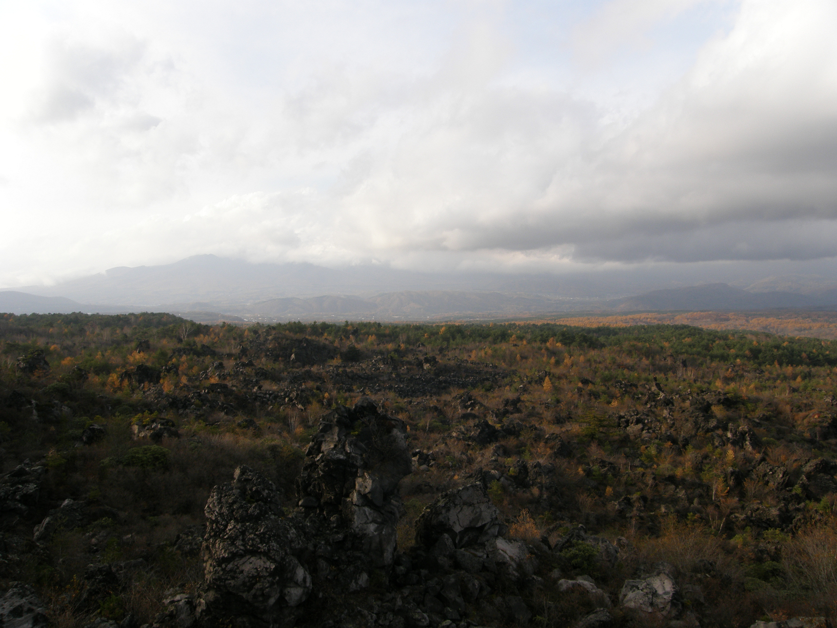 PB072853.jpg