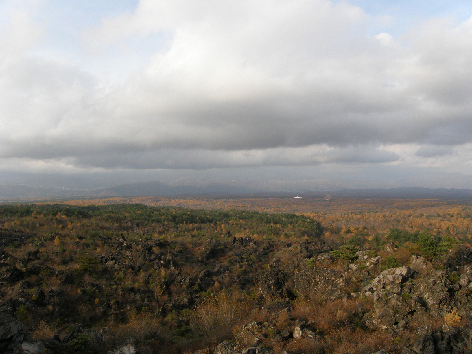 PB072854.jpg