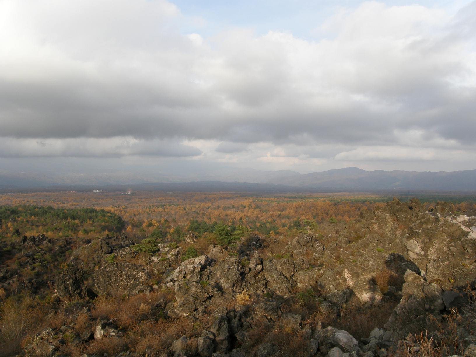 PB072855.jpg
