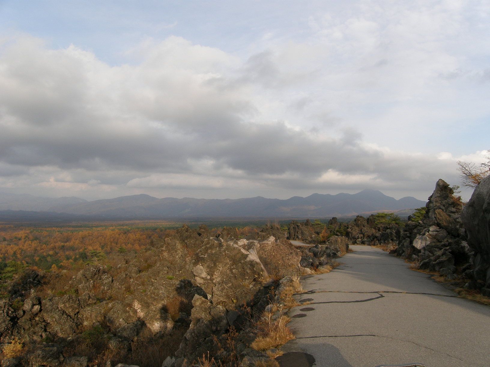 PB072856.jpg