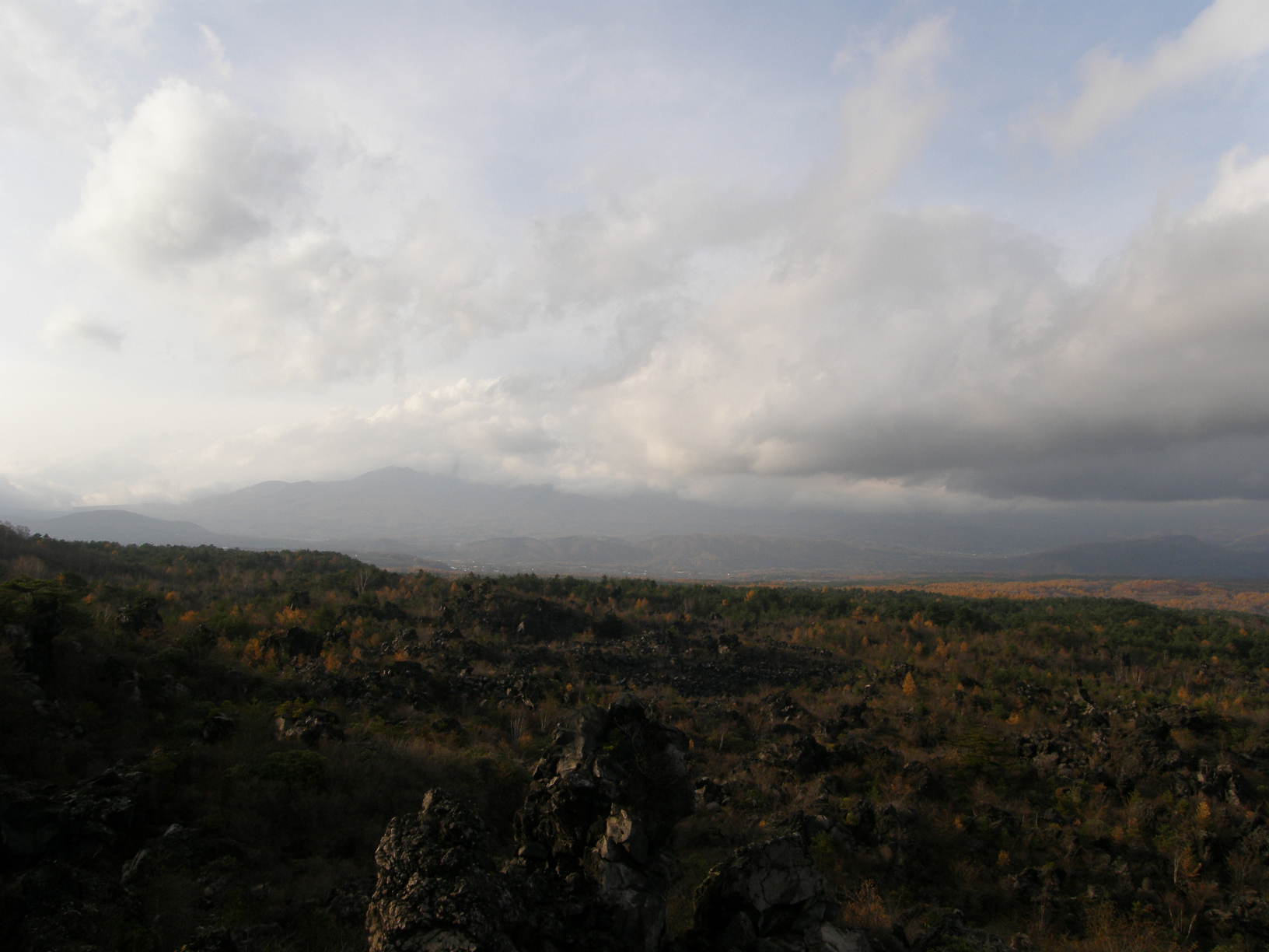PB072857.jpg