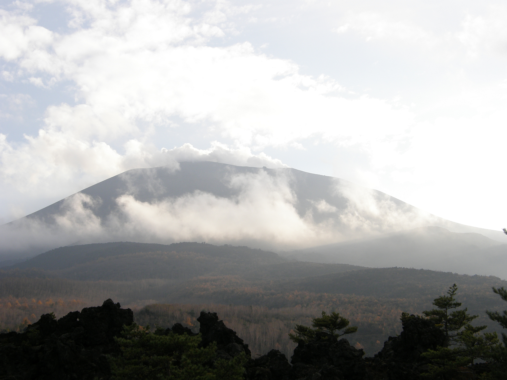 PB072863.jpg