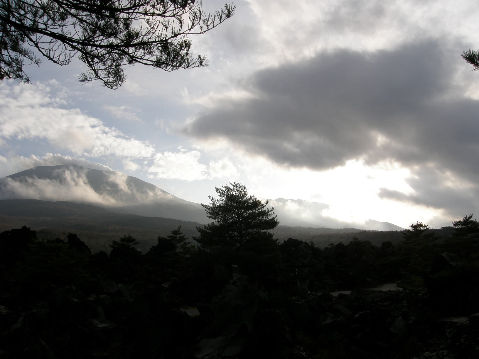 PB072865.jpg
