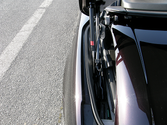 P3124100_thumb.png