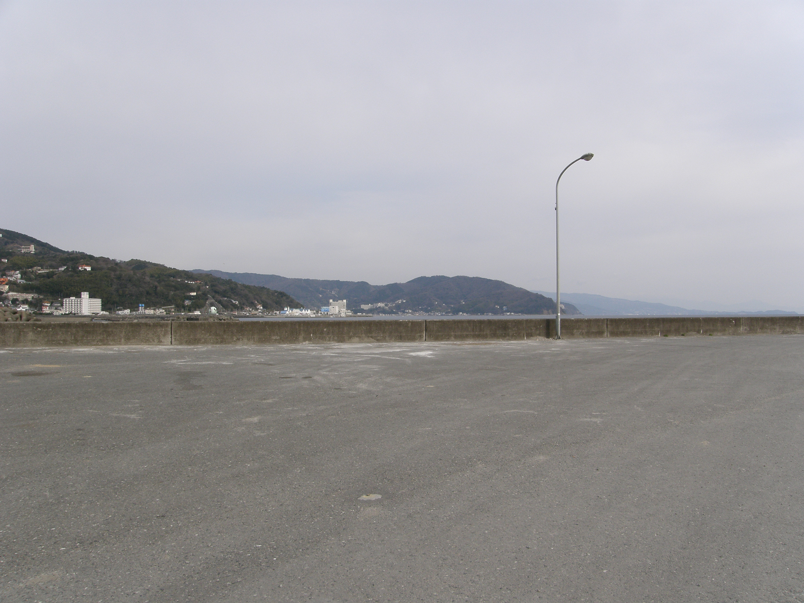P3134117.jpg
