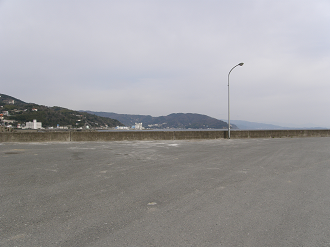 P3134117_thumb.png