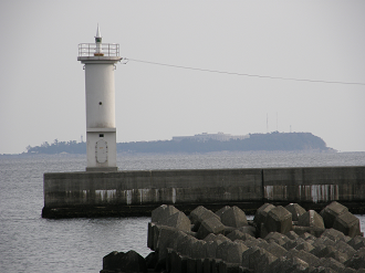 P3134119_thumb.png