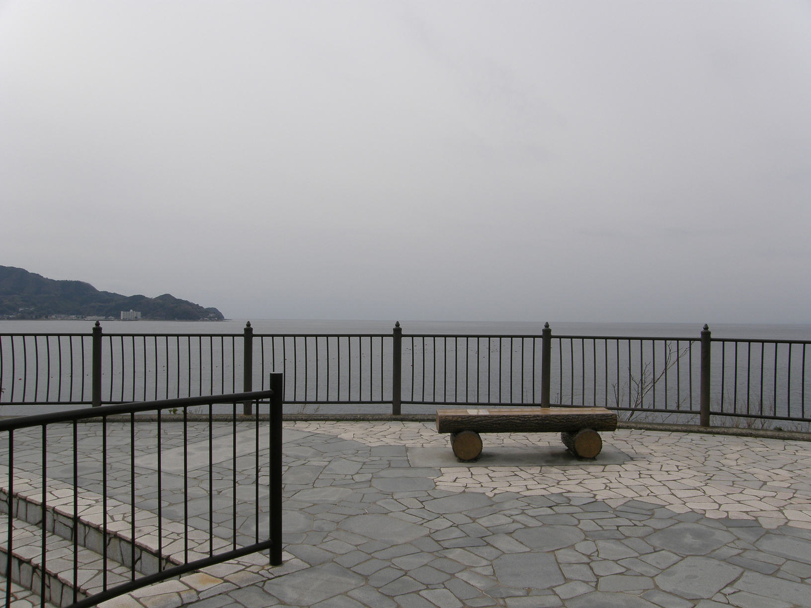 P3134145.jpg
