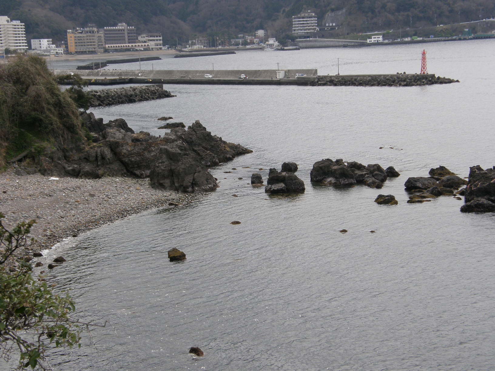 P3134148.jpg