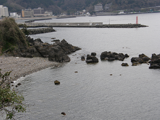 P3134148_thumb.png