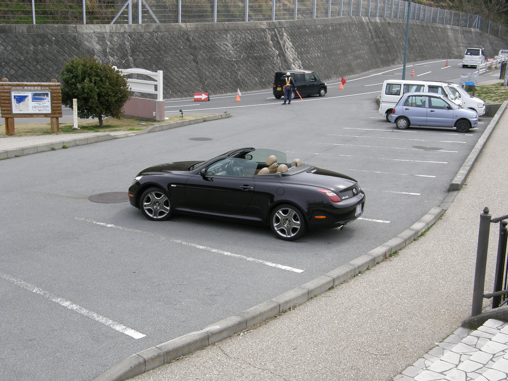 P3134156.jpg