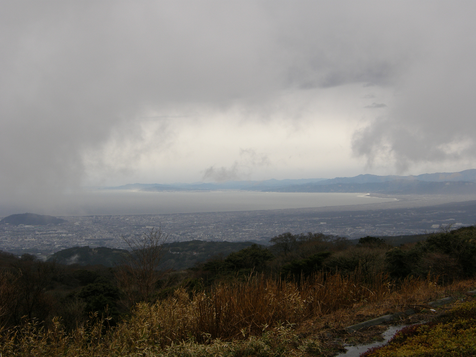 P3144220.jpg