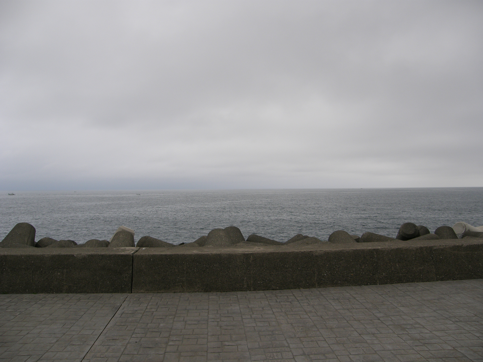 P6084634.jpg