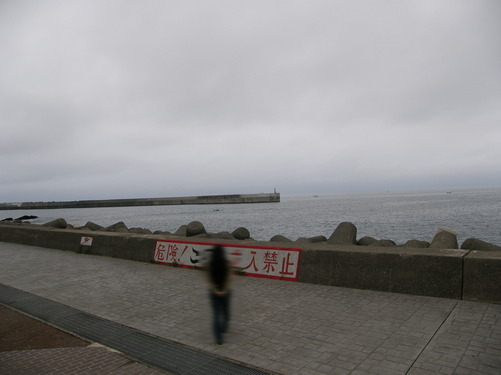P6084635.jpg