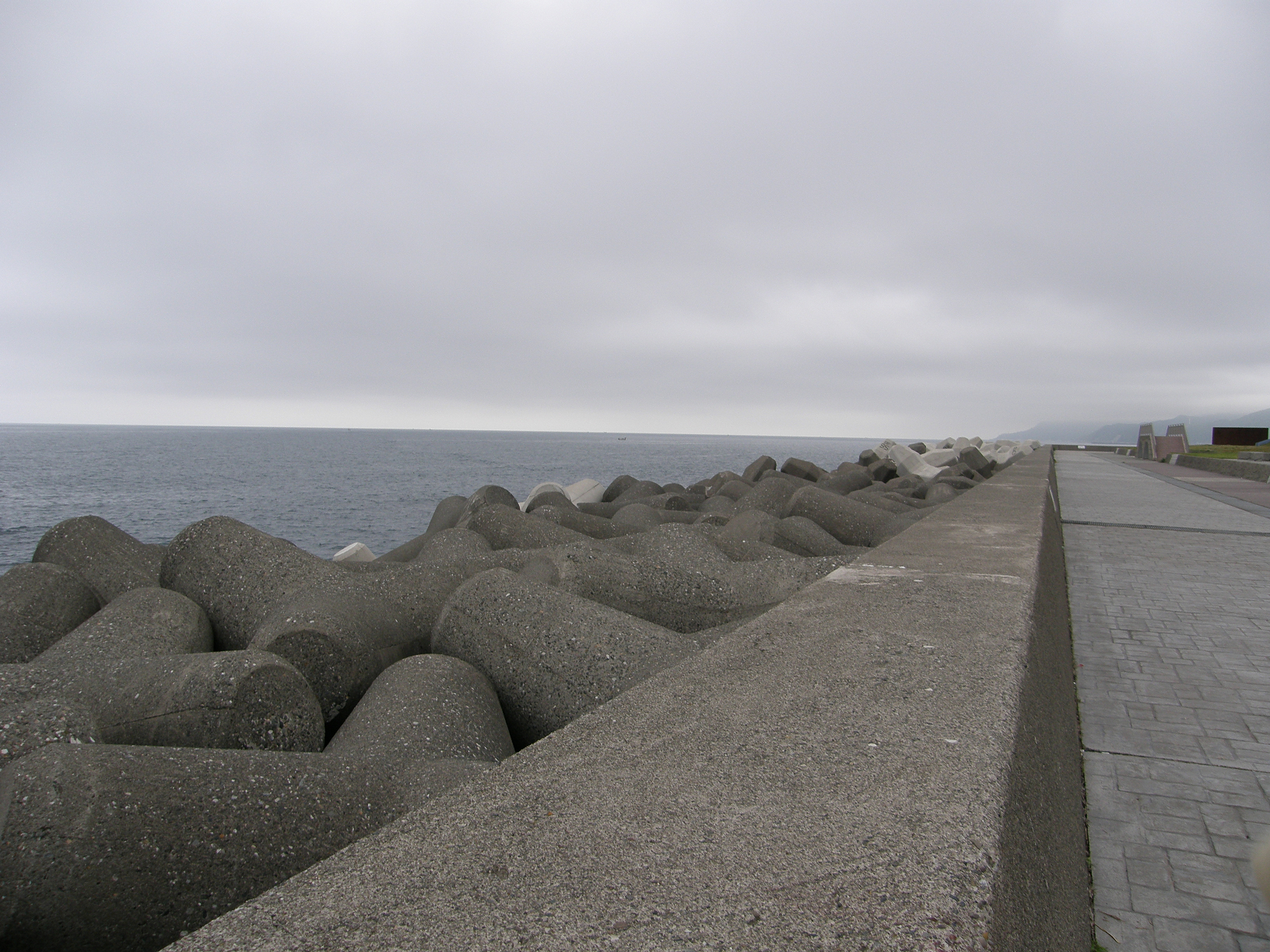 P6084637.jpg