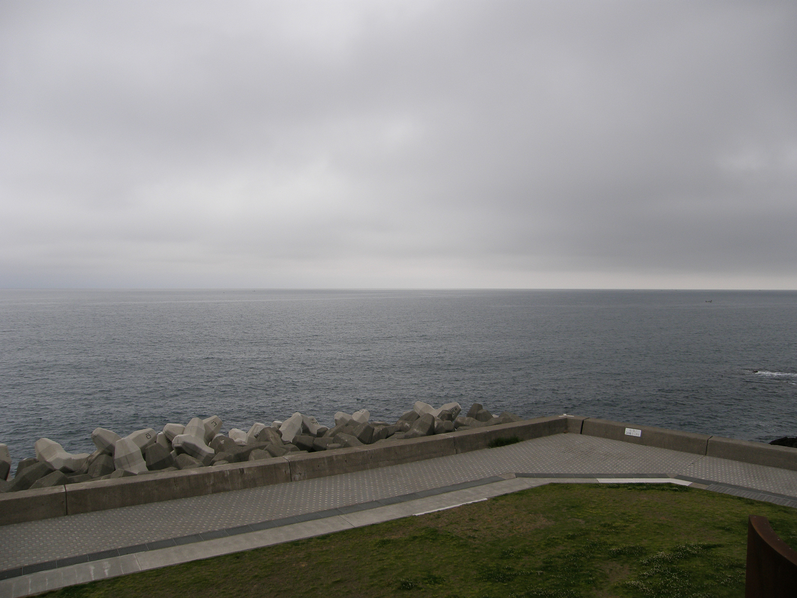 P6084644.jpg