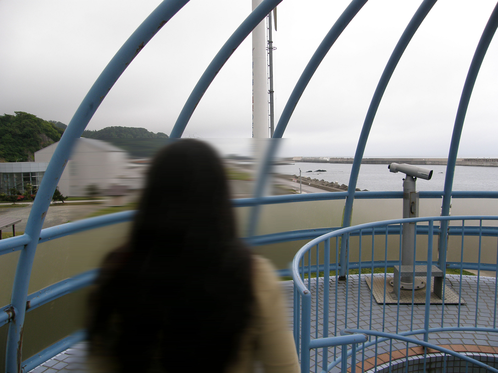 P6084647.jpg