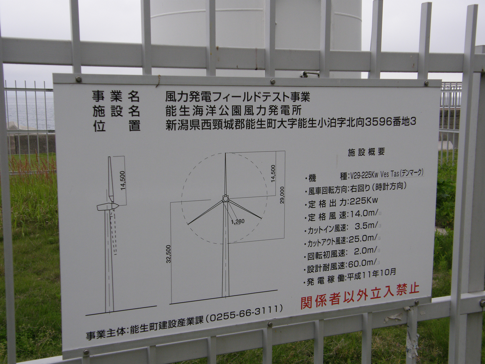 P6084652.jpg