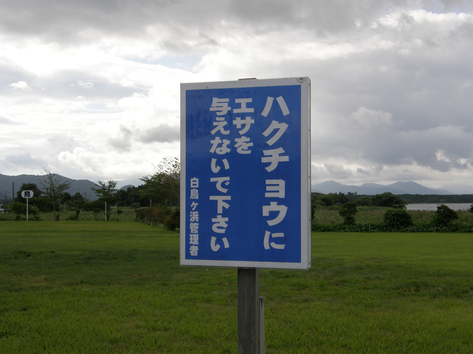 P8244823.jpg
