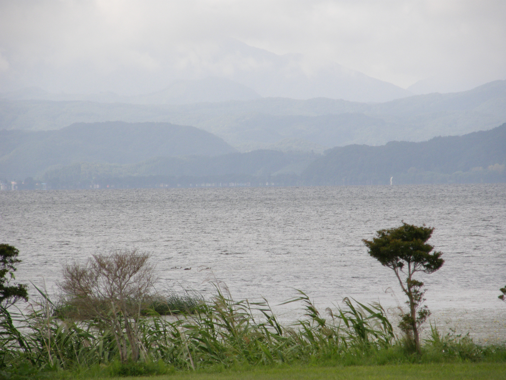 P8244824.jpg