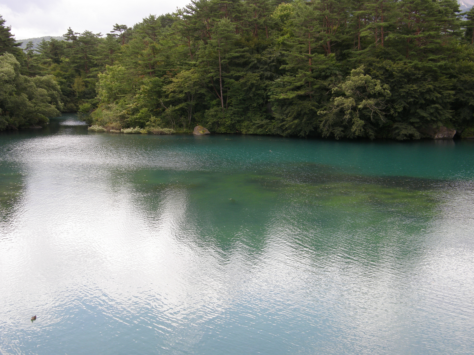P8244826.jpg