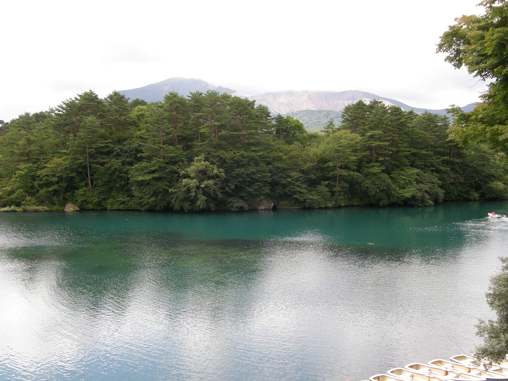 P8244827.jpg
