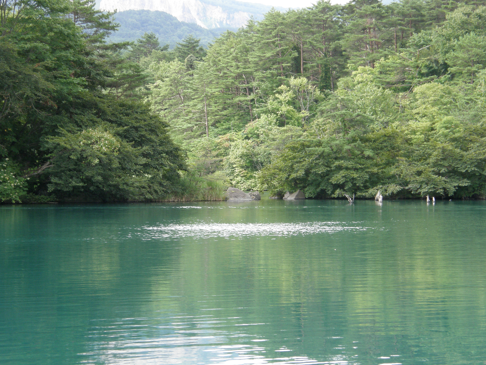 P8244830.jpg
