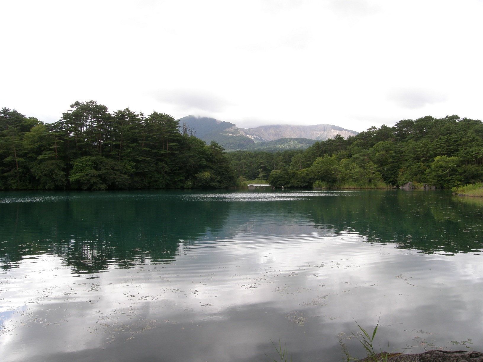 P8244834.jpg