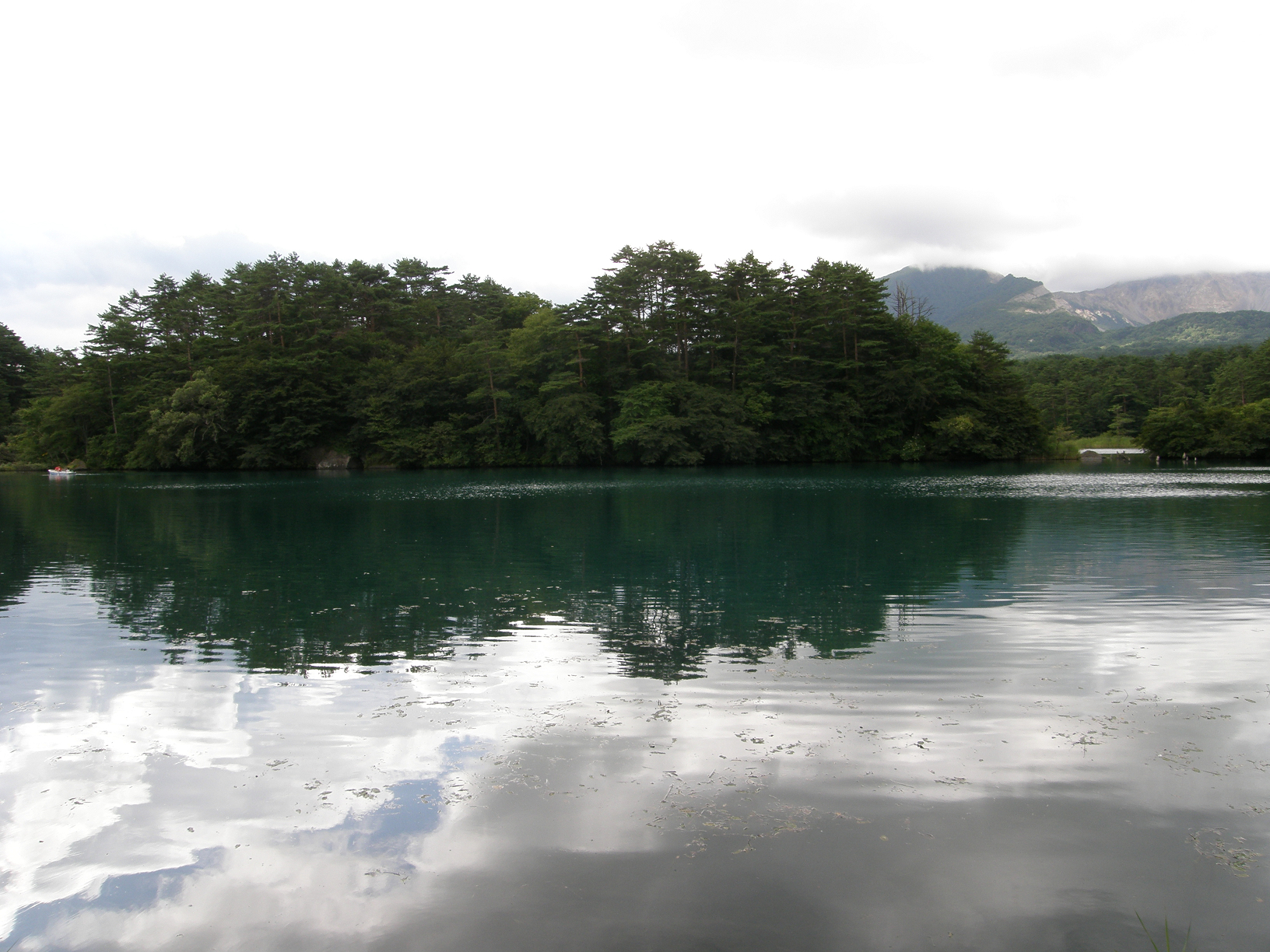 P8244835.jpg