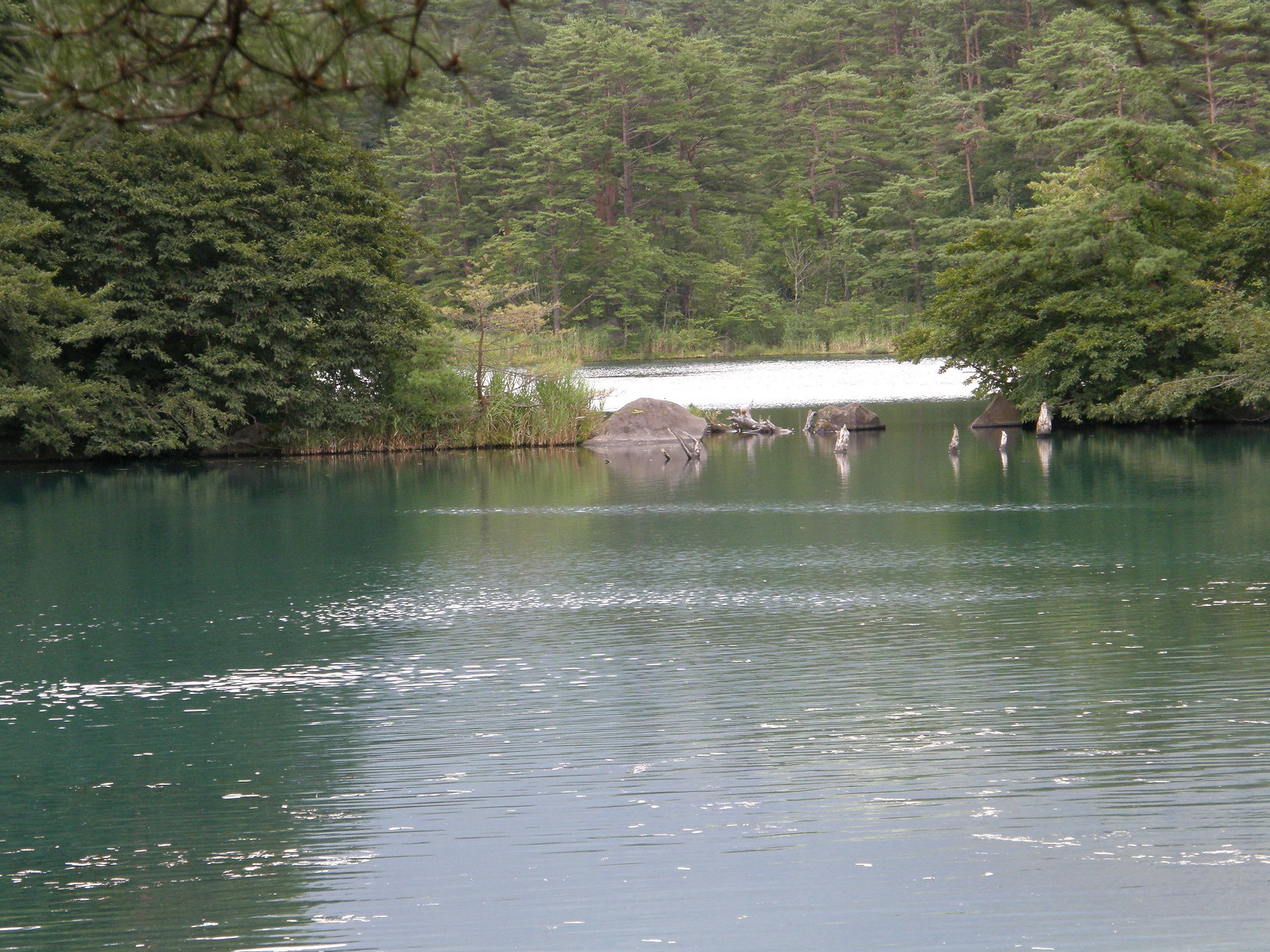 P8244837.jpg
