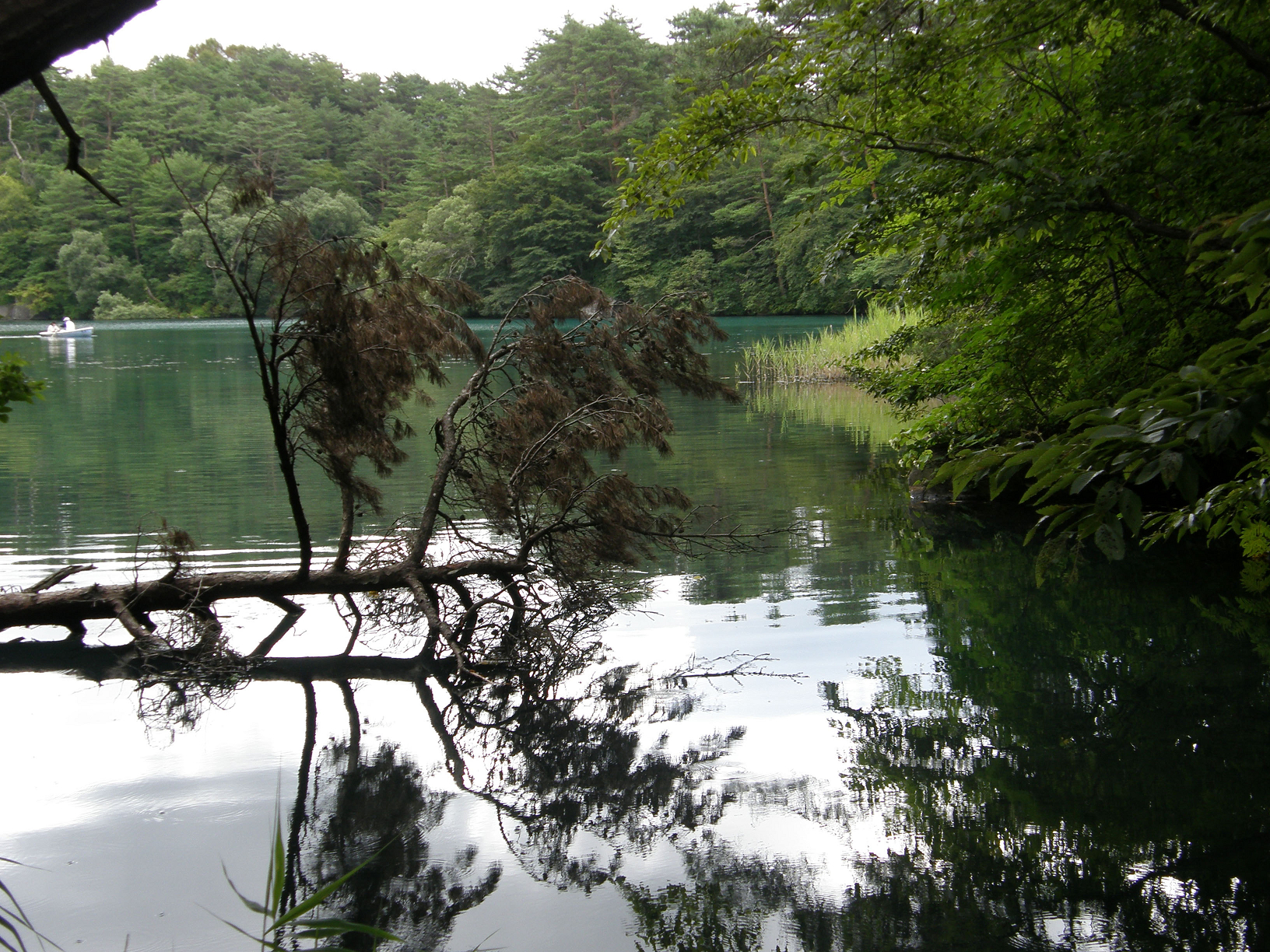 P8244841.jpg