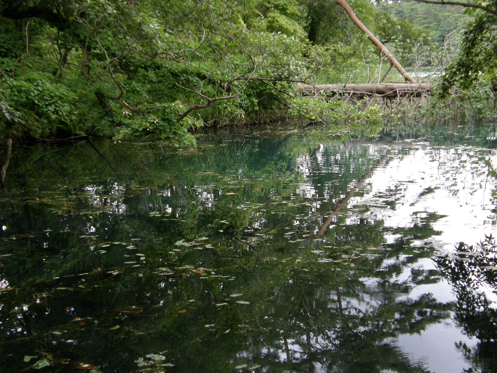 P8244842.jpg