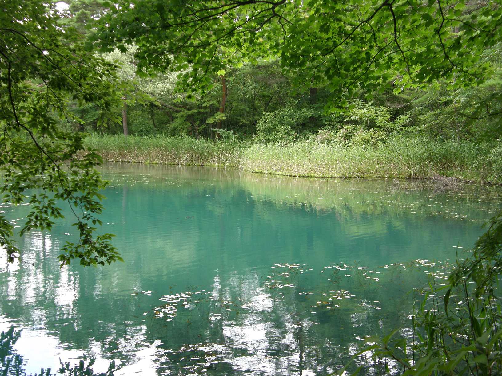 P8244843.jpg