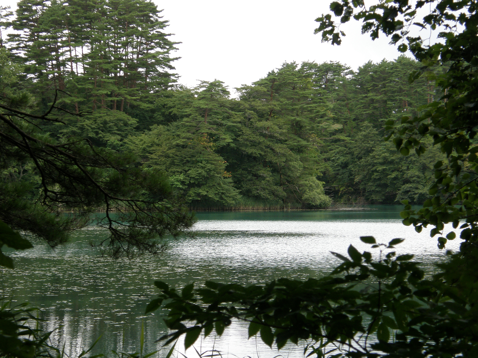 P8244844.jpg