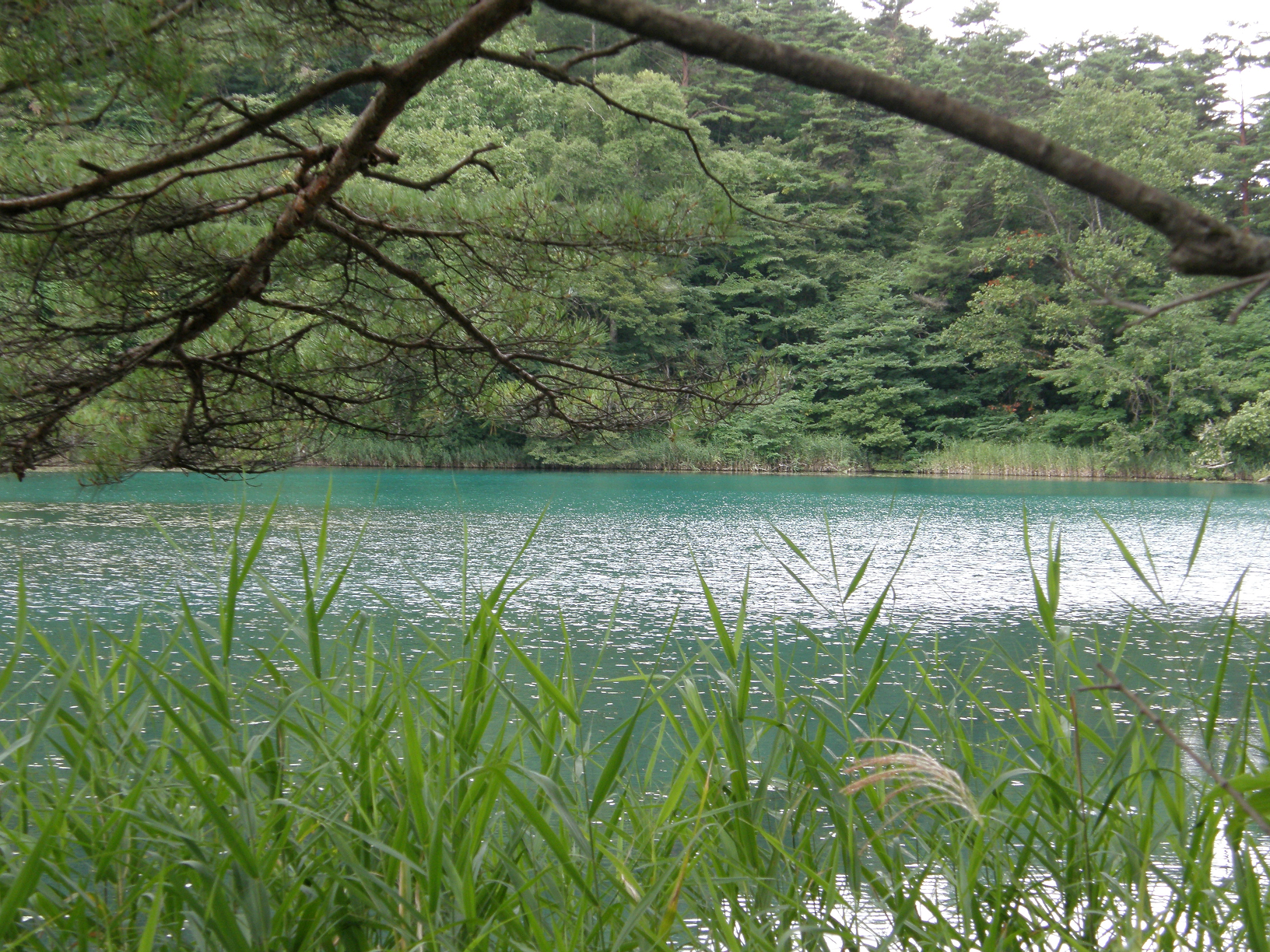 P8244845.jpg