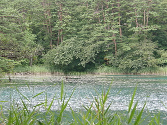 P8244846_thumb.png