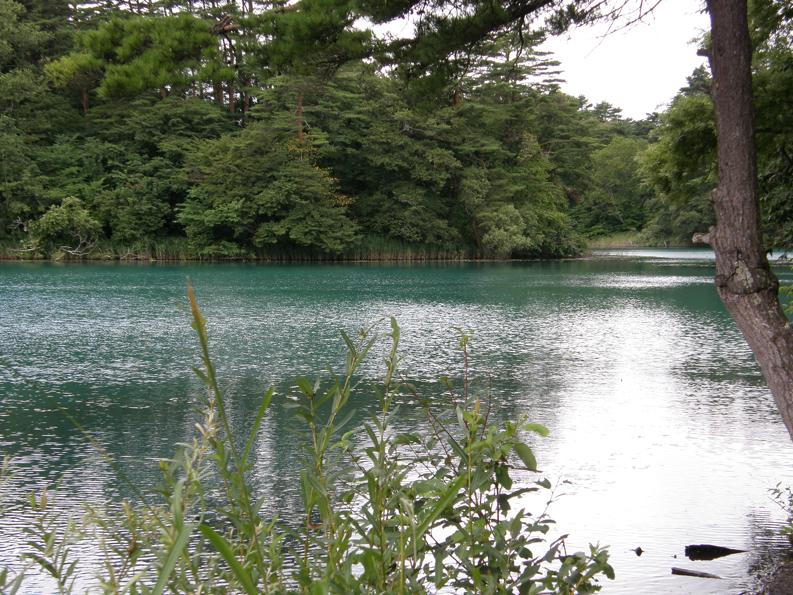 P8244848.jpg