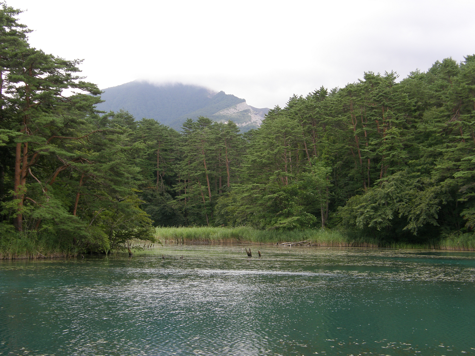 P8244849.jpg
