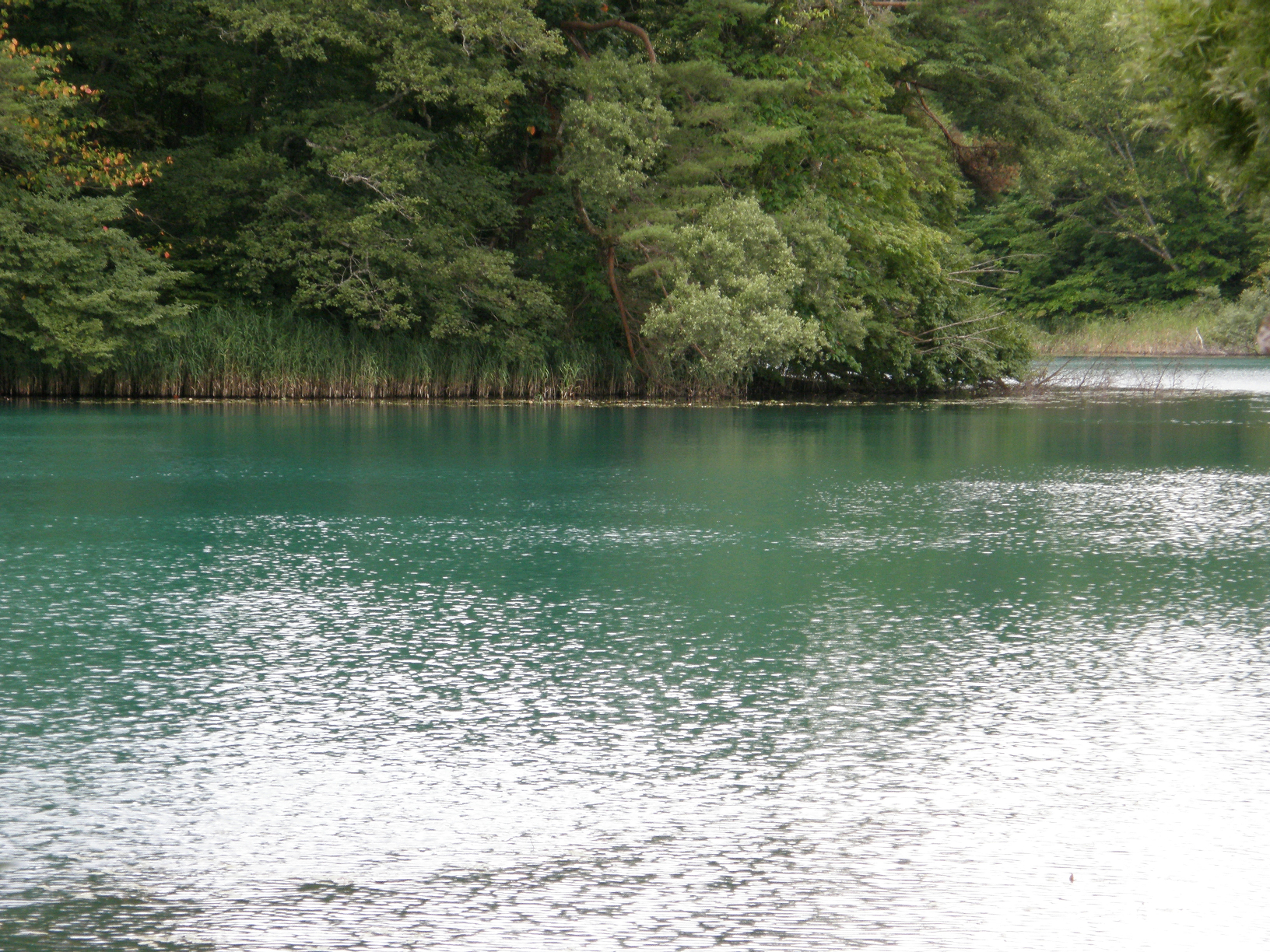 P8244850.jpg