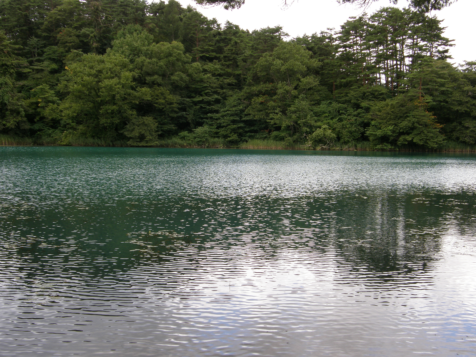 P8244853.jpg