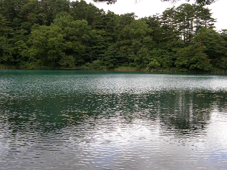 P8244853_thumb.png