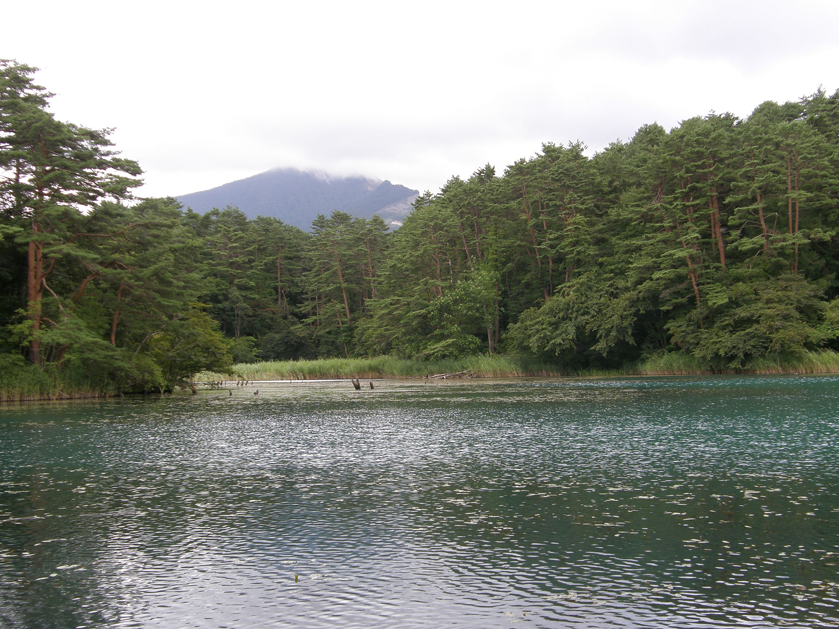 P8244854.jpg