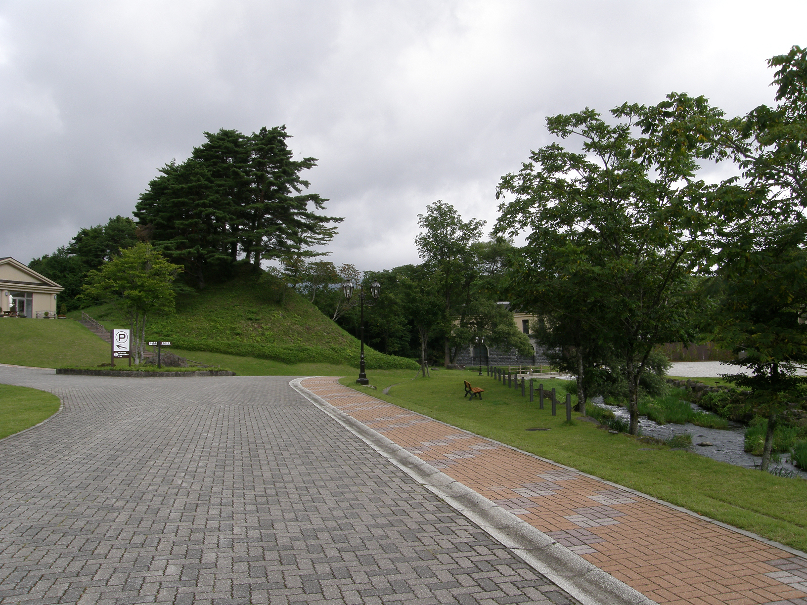 P8244863.jpg