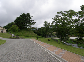 P8244863_thumb.png