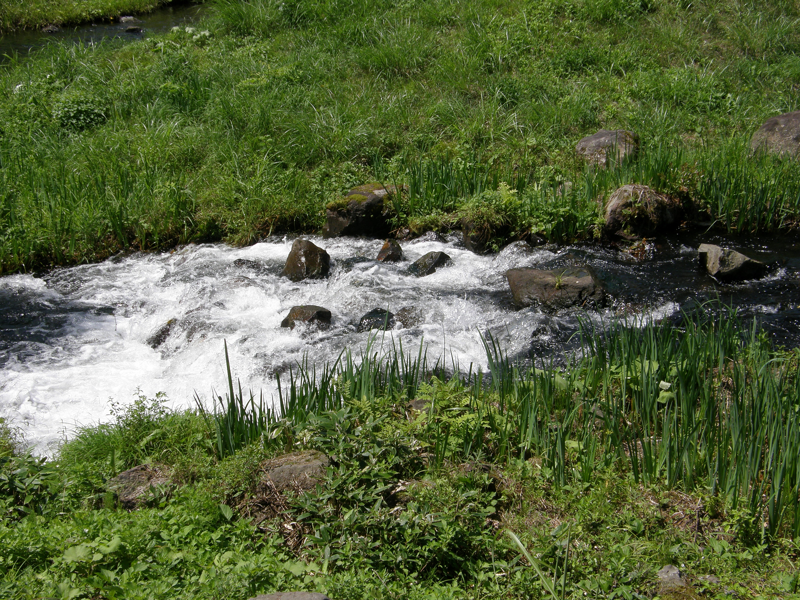 P8244872.jpg