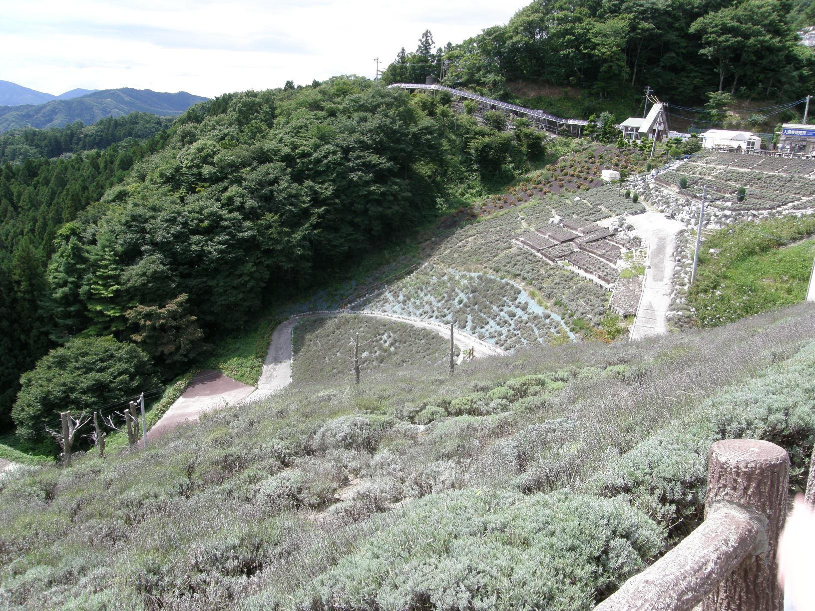 P8244900.jpg