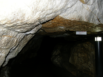 P8244910_thumb.png