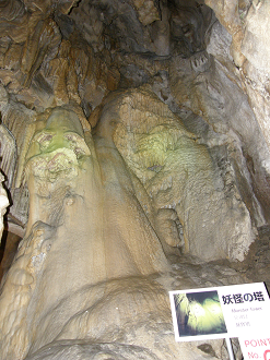 P8244914_thumb.png
